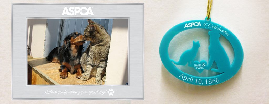 ASPCA Wedding Campaign gift