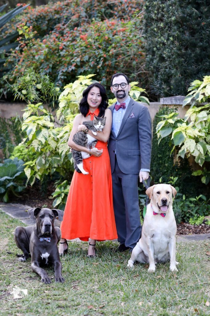 engagement photo with dogs and cat