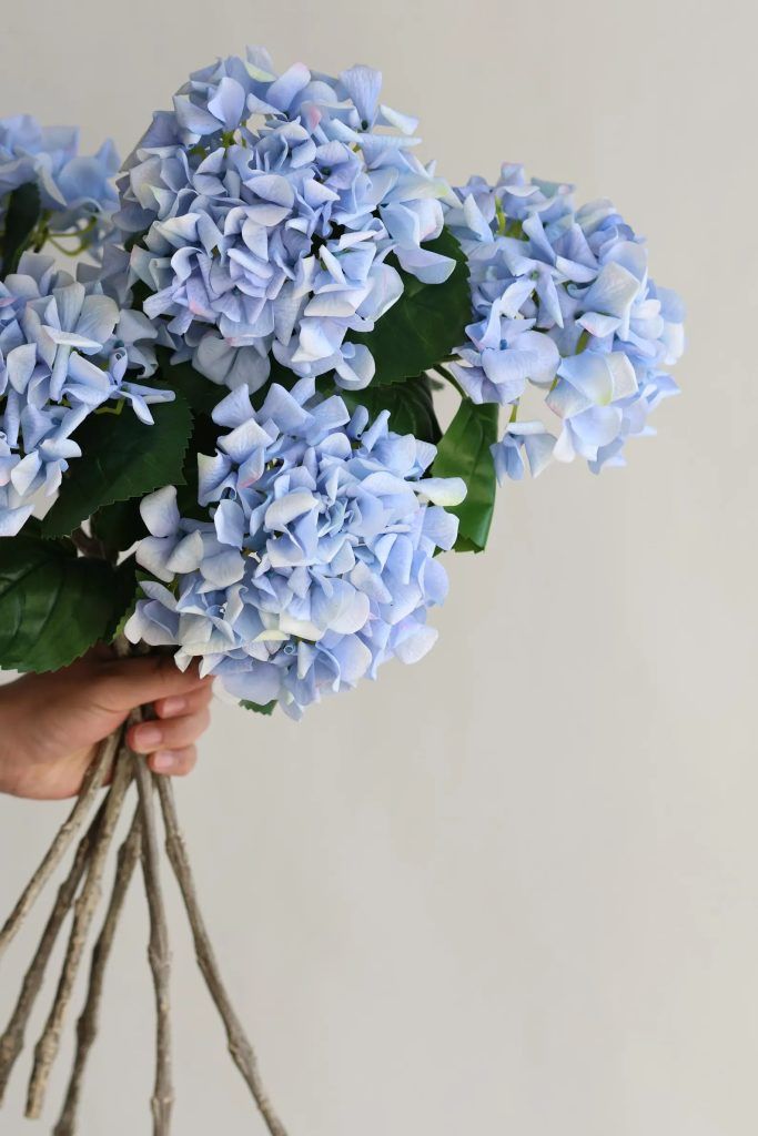 a hand holding a bundle of light blue hydrangeas with realistic texture