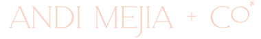 andi meija + co logo